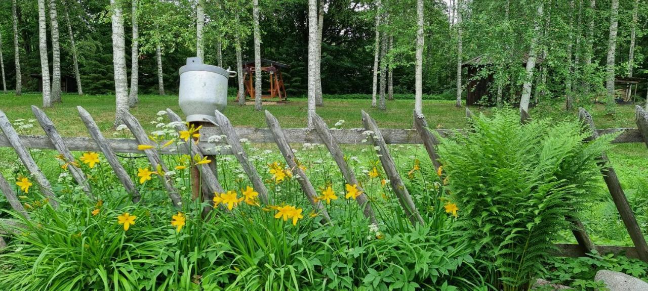 Campingplatz Atsikivi Puhketalu Häädemeeste